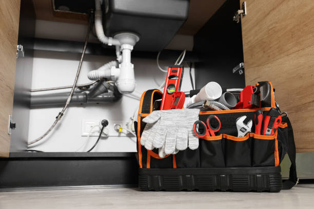 Best Leak Detection Services  in Buenaventura Lakes, FL