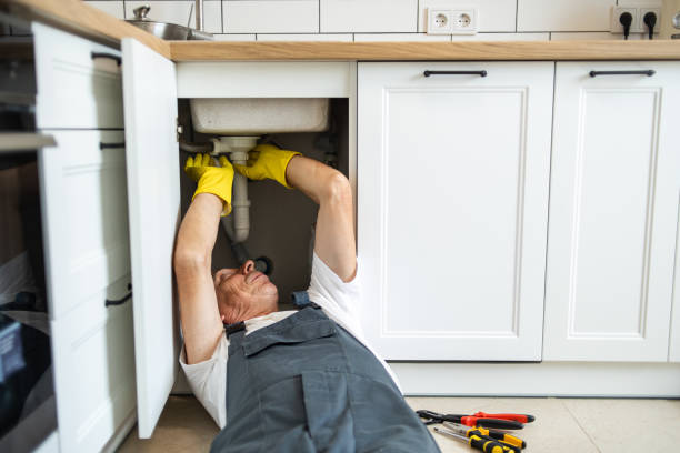 Best Affordable Plumber Near Me  in Buenaventura Lakes, FL