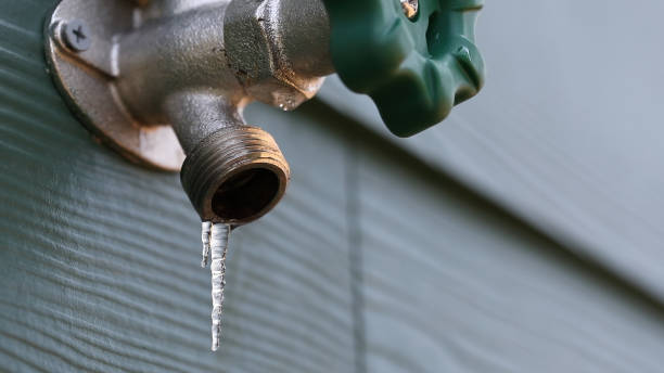 Best 24-Hour Plumber Near Me  in Buenaventura Lakes, FL