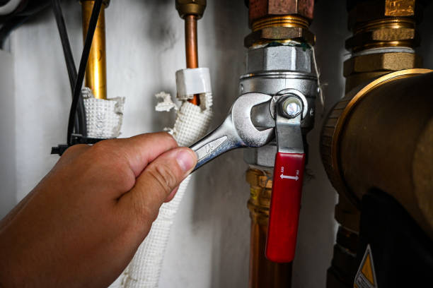 Best Clogged Drain Plumber  in Buenaventura Lakes, FL